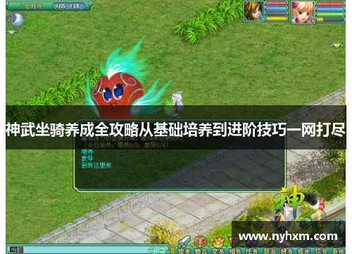 神武坐骑养成全攻略从基础培养到进阶技巧一网打尽